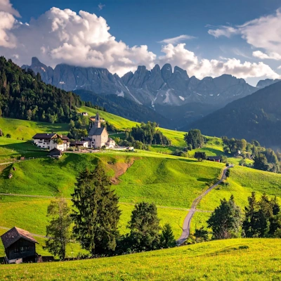  Simmental - Switzerland
